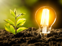 MME abre consulta pública para definir índices mínimos de eficiência energética de lâmpadas LED no Brasil