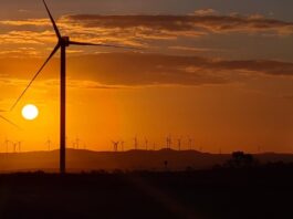 Relatório OMM-IRENA: Extremos climáticos impõem novo patamar de risco aos ativos renováveis
