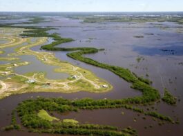 CMSE valida estudos de aversão ao risco e traça plano estratégico para a Bacia do Paraná