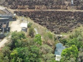 Ibama bate recorde de licenças ambientais em 2025 e acelera projetos de energia e infraestrutura