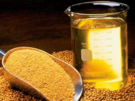 APROBIO e ABIOVE criam AliançaBiodiesel para unificar a agenda do setor e fortalecer a interlocução regulatória