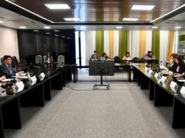 Brasil e Bolívia avançam em interconexão elétrica de 420 MW e reforçam integração gasífera