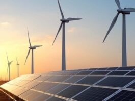 Leilões de energia renovável podem ir além do menor preço e distribuir riscos de forma mais equilibrada