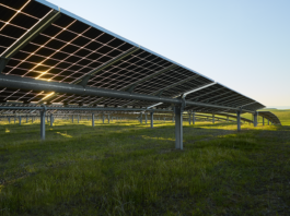 nextpower-metas-sbti-descarbonizacao-rastreadores-solares