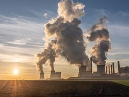 AIE alerta: Nova crise geopolítica pode repetir ciclo de intervenções dos anos 70 no setor de energia