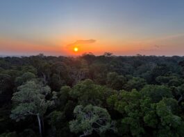 BNDES estrutura edital de R$ 78 milhões para revitalização do Rio Parnaíba e reforça agenda hídrica no setor elétrico