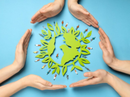 Cumprir o Acordo de Paris pode evitar até 75% dos impactos extremos sobre a biodiversidade, aponta estudo