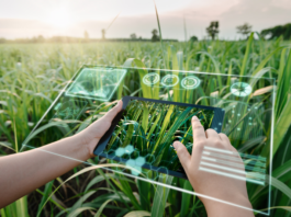 Hitachi Energy lança plataforma digital para acelerar descarbonização de projetos de redes elétricas