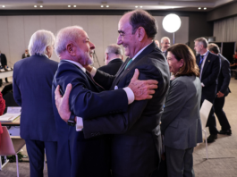 Neoenergia: Iberdrola sinaliza novo ciclo de aportes atrelado à renovação de concessões