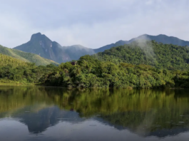 Além do SIN: B4 atinge R$ 12 bi em ativos e estrutura estreia do carbono azul no Brasil