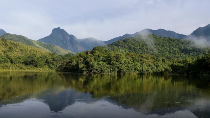 Além do SIN - B4 atinge R$ 12 bi em ativos e estrutura estreia do carbono azul no Brasil Além do SIN: B4 atinge R$ 12 bi em ativos e estrutura estreia do carbono azul no Brasil