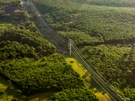 Alupar acelera expansão na América Latina e reforça agenda ESG com foco em transmissão e transição energética
