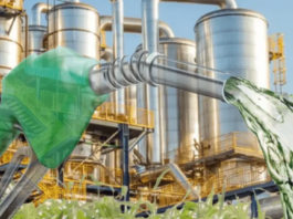 Brasil avança para safra histórica de etanol e amplia protagonismo global na transição energética