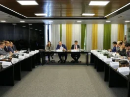 CNPE eleva meta inicial do biometano e inaugura nova fase da descarbonização do gás natural no Brasil
