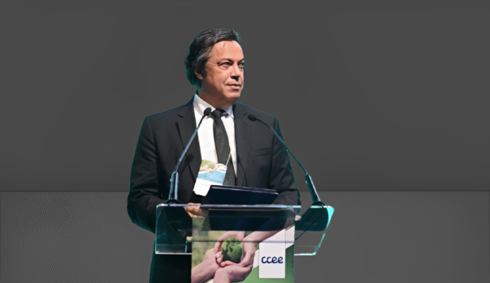 Cemig aposta em perfil técnico e elege Alexandre Peixoto como novo CEO