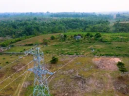 Crise nos sistemas isolados leva MPRO e MPF à Justiça para evitar apagão em comunidades da Amazônia
