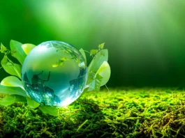 EPE reforça gestão de risco socioambiental com nova versão da BiodivEPE para projetos de energia