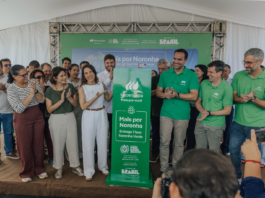 Neoenergia inicia testes em Noronha com usina solar e mega sistema de baterias de 49 MWh