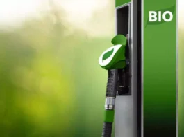 Nova ferramenta de análise ASG visa destravar capital sustentável para bioenergia e resíduos