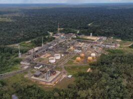 Petrobras acelera investimentos no Amazonas com foco em gás natural de Urucu e expansão logística da Transpetro Petrobras acelera investimentos no Amazonas com foco em gás natural de Urucu e expansão logística da Transpetro