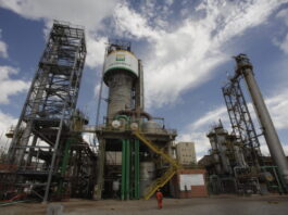 Petrobras critica Gas Release e defende expansão da oferta como caminho para reduzir preço do gás natural