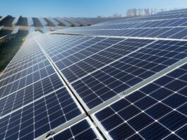 Sudene libera R$ 161 milhões para Transnordestina e complexo solar em Pernambuco