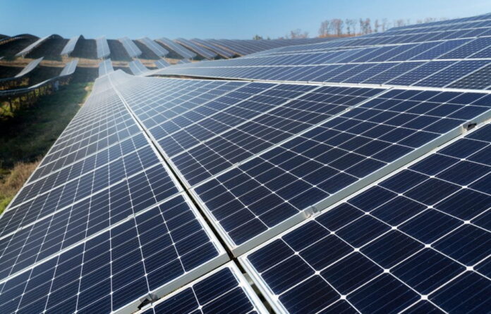 Sudene libera R$ 161 milhões para Transnordestina e complexo solar em Pernambuco