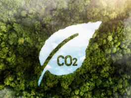 Mercado de Carbono: Greenline Carbonsat Integrará Comitê Técnico do SBCE para Definir Metodologias do Mercado Regulado