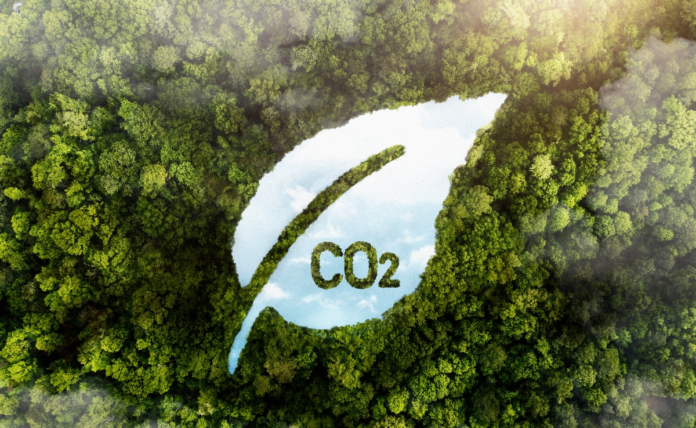 Mercado de Carbono: Greenline Carbonsat Integrará Comitê Técnico do SBCE para Definir Metodologias do Mercado Regulado