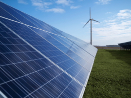 NewSun Energy Lança Edital para Arrendar Usinas em 18 Estados