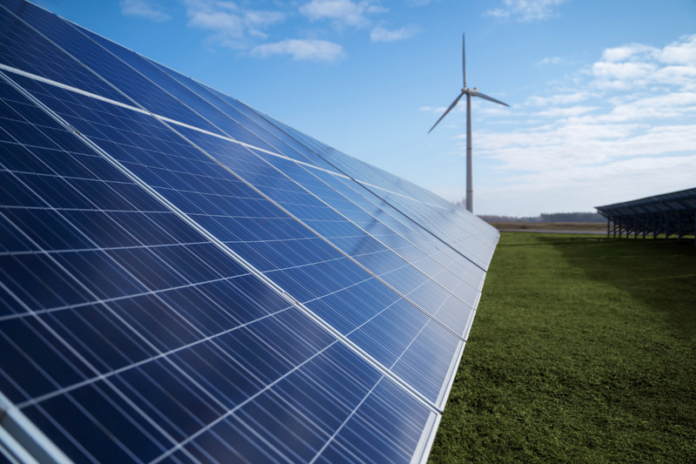 NewSun Energy Lança Edital para Arrendar Usinas em 18 Estados