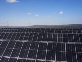 Trinasolar rompe barreira dos 900 W com módulo tandem e fixa novo recorde mundial