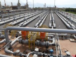 ANP cria comissão para acompanhar impasse entre PPSA e Petrobras sobre gás da União