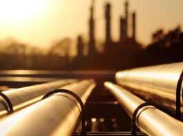 ANP investiga Petrobras e PPSA por possível prática anticoncorrencial e coloca acesso ao pré-sal sob escrutínio regulatório