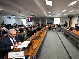 ARAYARA critica "jabutis" do PL 5.017 e alerta para impacto bilionário nas tarifas de energia até 2056