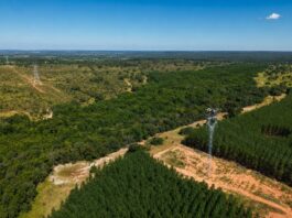 Arauco utiliza drones no lançamento de LT de 91 km para escoar 200 MW ao SIN no MS Arauco utiliza drones no lançamento de LT de 91 km para escoar 200 MW ao SIN no MS