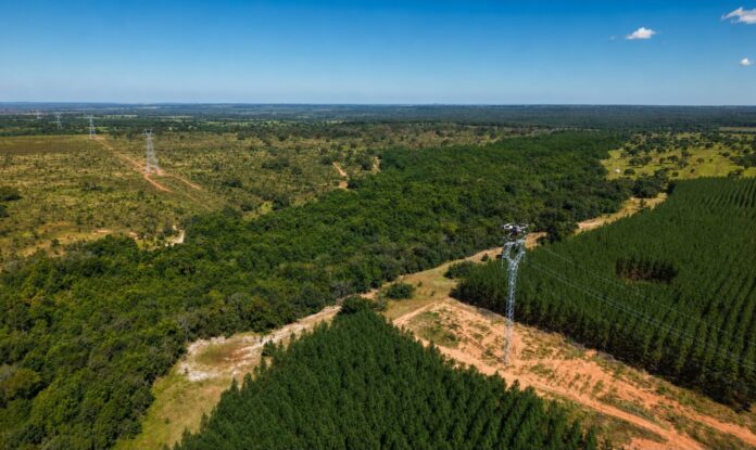 Arauco utiliza drones no lançamento de LT de 91 km para escoar 200 MW ao SIN no MS Arauco utiliza drones no lançamento de LT de 91 km para escoar 200 MW ao SIN no MS