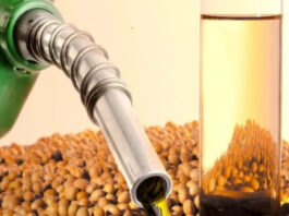 CNPE proíbe importação de biodiesel para mistura obrigatória e protege parque industrial nacional CNPE proíbe importação de biodiesel para mistura obrigatória e protege parque industrial nacional