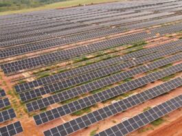 Comerc habilita UFV Castilho no Global Carbon Council e mira 9 milhões de CO₂e em créditos