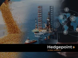 Demanda por biodiesel nos EUA bate recorde e vira vetor de suporte ao mercado global de soja
