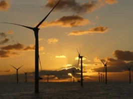 EPE consolida metodologia que balizará primeiros leilões de eólica offshore no Brasil