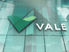 Vale elege Manuel Oliveira como presidente do Conselho e confirma Iêda Yell no board